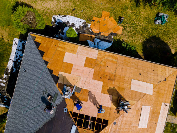 Best Roof Restoration Services  in Mccaysville, GA