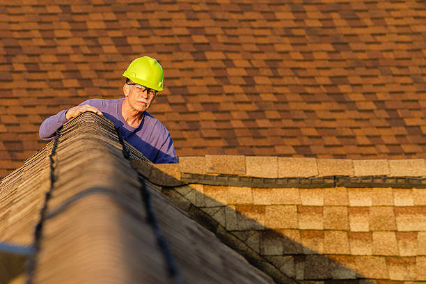 Best Roof Gutter Cleaning  in Mccaysville, GA